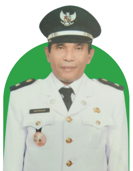 Ahmad Alihanafia, S.Sos